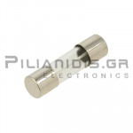 ΑΣΦΑΛΕΙΑ ΤΑΧΕΙΑΣ ΤΗΞΗΣ  F 20.0A 5x20mm