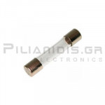 FUSE F 500mA  6,3x32mm Quick Acting