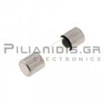 ΑΣΦΑΛΕΙΑ ΒΡΑΔΕΙΑΣ ΤΗΞΗΣ  T 12.5A 5x20mm