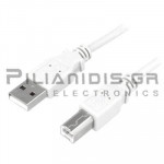 USB Cable A Male - USB B Male 2.0m Grey