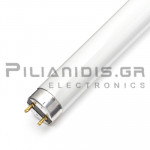 Fluorescent Lamp | T8/G13 | 18W | Cool White 6400K | 1050Lm