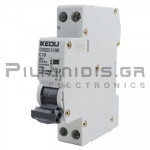 Circuit Breaker | Type C | 1P+N | 10A | 6KA 230VAC