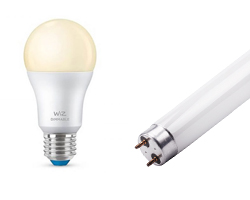 Led Lamps
